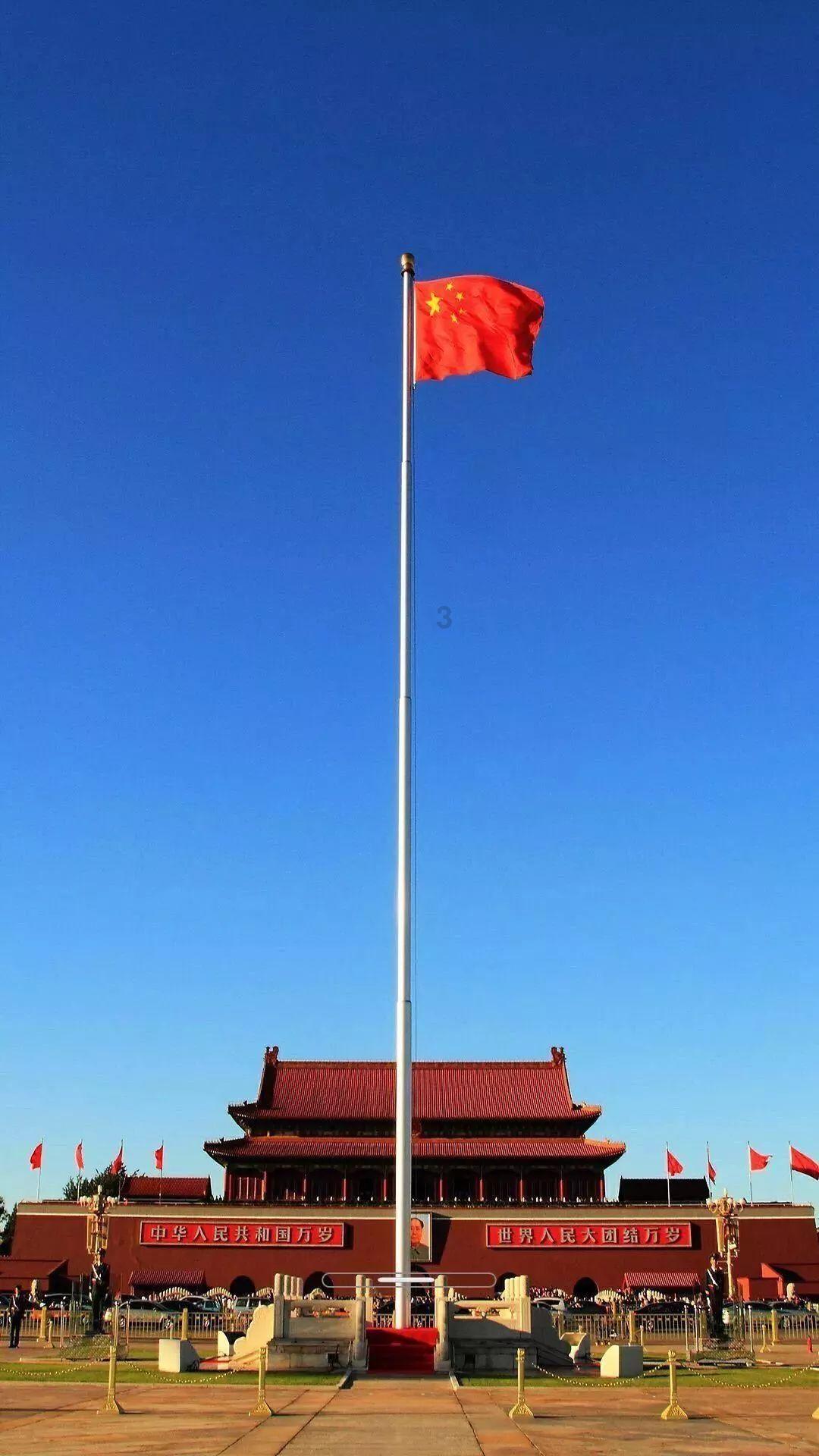 坚定旗帜领航  凝聚赋能合力